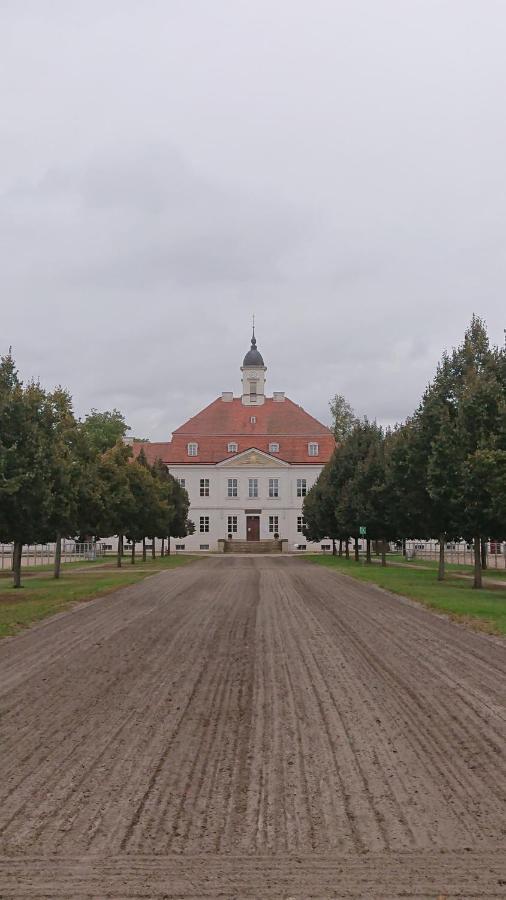 Fewo In Neustadt/Dosse, Der Stadt Der Pferde Leddin Exterior foto